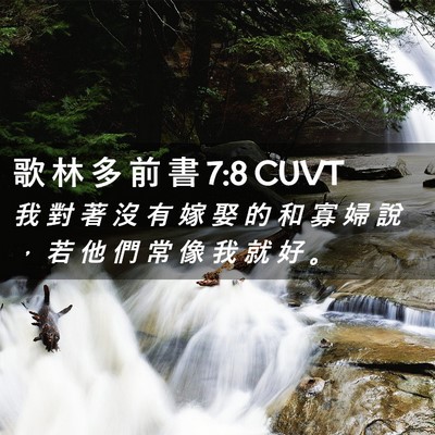 Picture 02 - 歌 林 多 前 書 7:8 CUVT - 我 對 著 沒 有 嫁 娶 的 和 寡 婦 說 - Bible Verse Picture