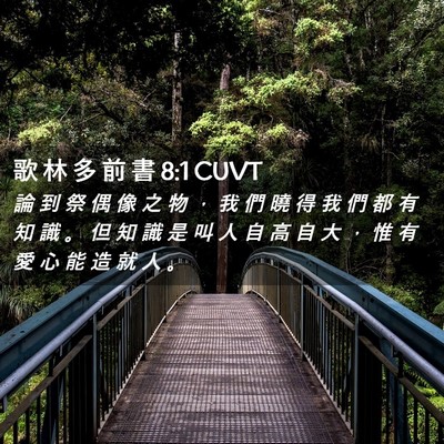 Picture 02 - 歌 林 多 前 書 8:1 CUVT - 論 到 祭 偶 像 之 物 ， 我 們 曉 得 - Bible Verse Picture