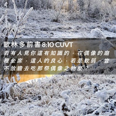 Picture 02 - 歌 林 多 前 書 8:10 CUVT - 若 有 人 見 你 這 有 知 識 的 ， 在 - Bible Verse Picture