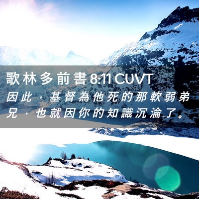 Picture 02 - 歌 林 多 前 書 8:11 CUVT - 因 此 ， 基 督 為 他 死 的 那 軟 弱 - Bible Verse Picture