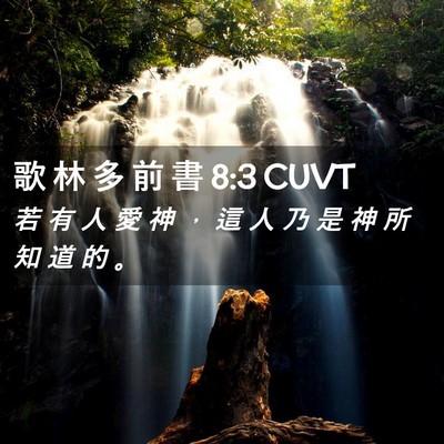 Picture 02 - 歌 林 多 前 書 8:3 CUVT - 若 有 人 愛 神 ， 這 人 乃 是 神 所 - Bible Verse Picture