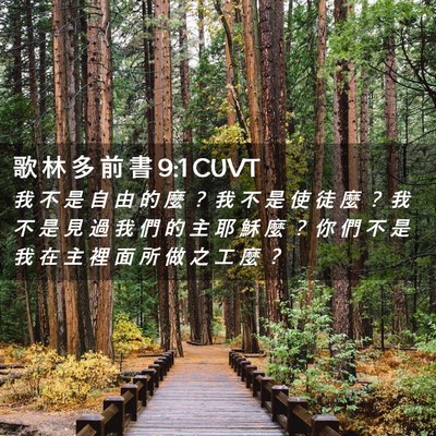 Picture 02 - 歌 林 多 前 書 9:1 CUVT - 我 不 是 自 由 的 麼 ？ 我 不 是 使 - Bible Verse Picture