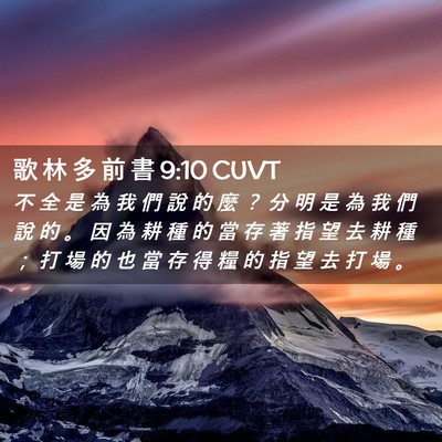 Picture 02 - 歌 林 多 前 書 9:10 CUVT - 不 全 是 為 我 們 說 的 麼 ？ 分 明 - Bible Verse Picture