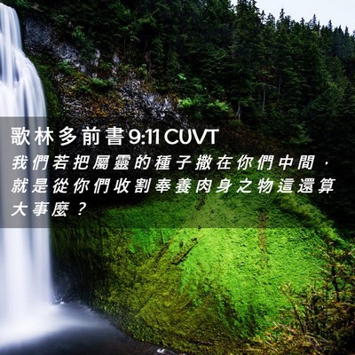 Picture 02 - 歌 林 多 前 書 9:11 CUVT - 我 們 若 把 屬 靈 的 種 子 撒 在 你 - Bible Verse Picture