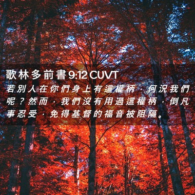 Picture 02 - 歌 林 多 前 書 9:12 CUVT - 若 別 人 在 你 們 身 上 有 這 權 柄 - Bible Verse Picture