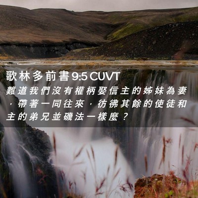 Picture 02 - 歌 林 多 前 書 9:5 CUVT - 難 道 我 們 沒 有 權 柄 娶 信 主 的 - Bible Verse Picture