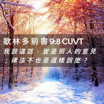 Picture 02 - 歌 林 多 前 書 9:8 CUVT - 我 說 這 話 ， 豈 是 照 人 的 意 見 - Bible Verse Picture