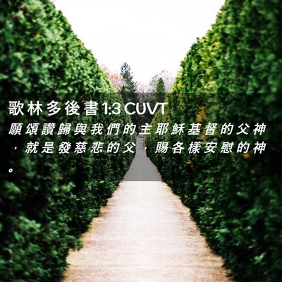 Picture 02 - 歌 林 多 後 書 1:3 CUVT - 願 頌 讚 歸 與 我 們 的 主 耶 穌 基 - Bible Verse Picture