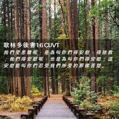 Picture 02 - 歌 林 多 後 書 1:6 CUVT - 我 們 受 患 難 呢 ， 是 為 叫 你 們 - Bible Verse Picture