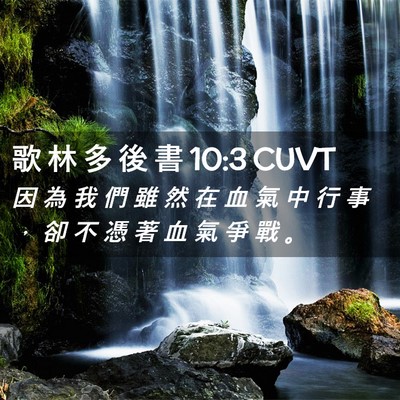 Picture 02 - 歌 林 多 後 書 10:3 CUVT - 因 為 我 們 雖 然 在 血 氣 中 行 事 - Bible Verse Picture
