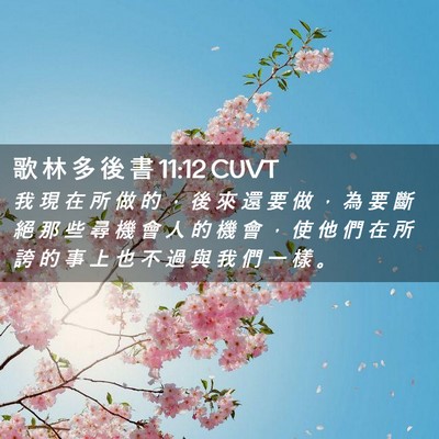 Picture 02 - 歌 林 多 後 書 11:12 CUVT - 我 現 在 所 做 的 ， 後 來 還 要 做 - Bible Verse Picture