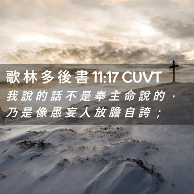 Picture 02 - 歌 林 多 後 書 11:17 CUVT - 我 說 的 話 不 是 奉 主 命 說 的 ， - Bible Verse Picture