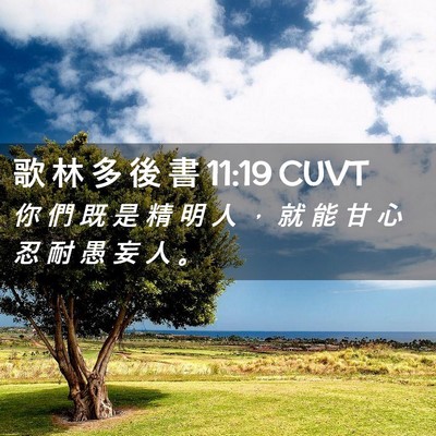 Picture 02 - 歌 林 多 後 書 11:19 CUVT - 你 們 既 是 精 明 人 ， 就 能 甘 心 - Bible Verse Picture