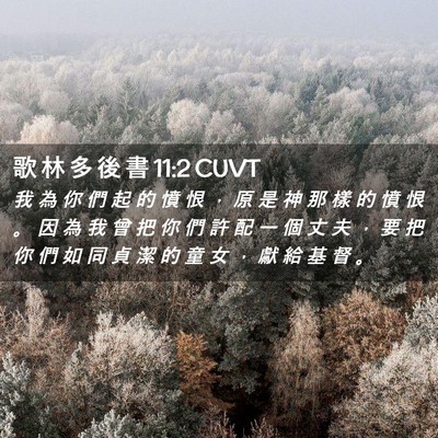 Picture 02 - 歌 林 多 後 書 11:2 CUVT - 我 為 你 們 起 的 憤 恨 ， 原 是 神 - Bible Verse Picture
