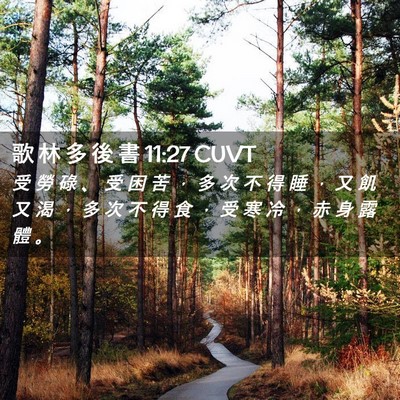 Picture 02 - 歌 林 多 後 書 11:27 CUVT - 受 勞 碌 、 受 困 苦 ， 多 次 不 得 - Bible Verse Picture