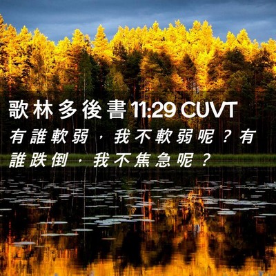 Picture 02 - 歌 林 多 後 書 11:29 CUVT - 有 誰 軟 弱 ， 我 不 軟 弱 呢 ？ 有 - Bible Verse Picture