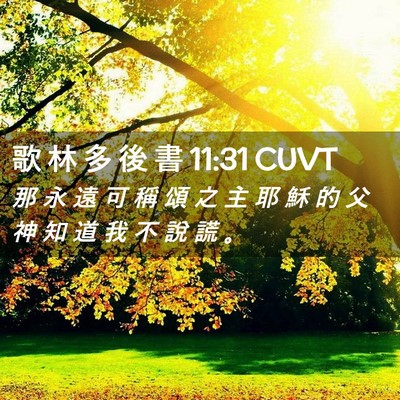 Picture 02 - 歌 林 多 後 書 11:31 CUVT - 那 永 遠 可 稱 頌 之 主 耶 穌 的 父 - Bible Verse Picture