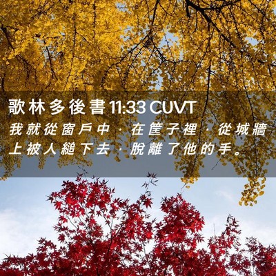Picture 02 - 歌 林 多 後 書 11:33 CUVT - 我 就 從 窗 戶 中 ， 在 筐 子 裡 ， - Bible Verse Picture
