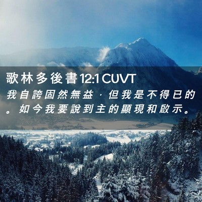 Picture 02 - 歌 林 多 後 書 12:1 CUVT - 我 自 誇 固 然 無 益 ， 但 我 是 不 - Bible Verse Picture