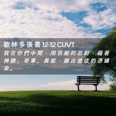Picture 02 - 歌 林 多 後 書 12:12 CUVT - 我 在 你 們 中 間 ， 用 百 般 的 忍 - Bible Verse Picture