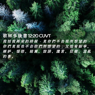 Picture 02 - 歌 林 多 後 書 12:20 CUVT - 我 怕 我 再 來 的 時 候 ， 見 你 們 - Bible Verse Picture