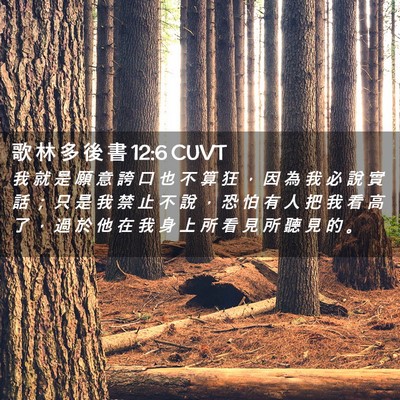 Picture 02 - 歌 林 多 後 書 12:6 CUVT - 我 就 是 願 意 誇 口 也 不 算 狂 ， - Bible Verse Picture