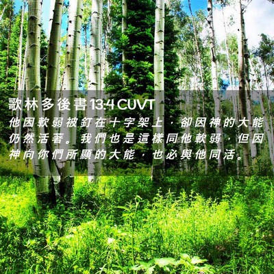 Picture 02 - 歌 林 多 後 書 13:4 CUVT - 他 因 軟 弱 被 釘 在 十 字 架 上 ， - Bible Verse Picture