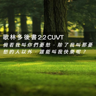 Picture 02 - 歌 林 多 後 書 2:2 CUVT - 倘 若 我 叫 你 們 憂 愁 ， 除 了 我 - Bible Verse Picture