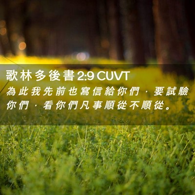 Picture 02 - 歌 林 多 後 書 2:9 CUVT - 為 此 我 先 前 也 寫 信 給 你 們 ， - Bible Verse Picture