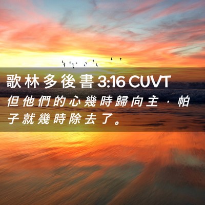 Picture 02 - 歌 林 多 後 書 3:16 CUVT - 但 他 們 的 心 幾 時 歸 向 主 ， 帕 - Bible Verse Picture
