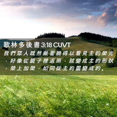 Picture 02 - 歌 林 多 後 書 3:18 CUVT - 我 們 眾 人 既 然 敞 著 臉 得 以 看 - Bible Verse Picture