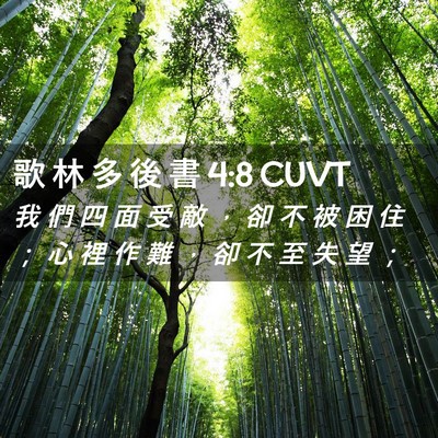 Picture 02 - 歌 林 多 後 書 4:8 CUVT - 我 們 四 面 受 敵 ， 卻 不 被 困 住 - Bible Verse Picture