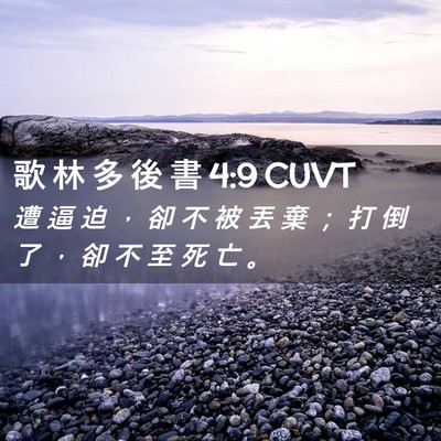 Picture 02 - 歌 林 多 後 書 4:9 CUVT - 遭 逼 迫 ， 卻 不 被 丟 棄 ； 打 倒 - Bible Verse Picture