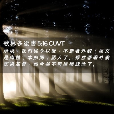 Picture 02 - 歌 林 多 後 書 5:16 CUVT - 所 以 ， 我 們 從 今 以 後 ， 不 憑 - Bible Verse Picture