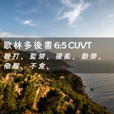 Picture 02 - 歌 林 多 後 書 6:5 CUVT - 鞭 打 、 監 禁 、 擾 亂 、 勤 勞 、 - Bible Verse Picture