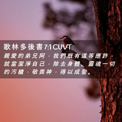 Picture 02 - 歌 林 多 後 書 7:1 CUVT - 親 愛 的 弟 兄 阿 ， 我 們 既 有 這 - Bible Verse Picture