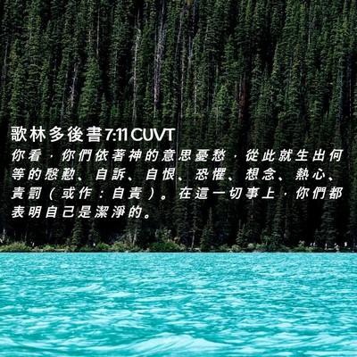 Picture 02 - 歌 林 多 後 書 7:11 CUVT - 你 看 ， 你 們 依 著 神 的 意 思 憂 - Bible Verse Picture