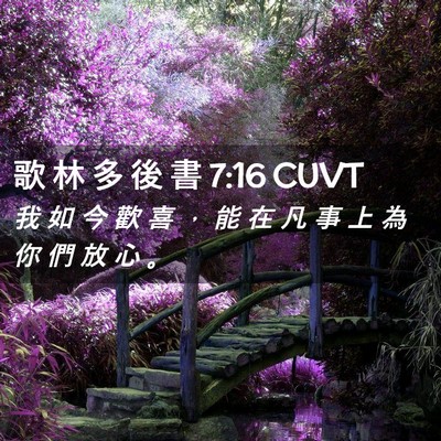 Picture 02 - 歌 林 多 後 書 7:16 CUVT - 我 如 今 歡 喜 ， 能 在 凡 事 上 為 - Bible Verse Picture