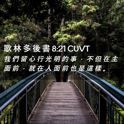 Picture 02 - 歌 林 多 後 書 8:21 CUVT - 我 們 留 心 行 光 明 的 事 ， 不 但 - Bible Verse Picture