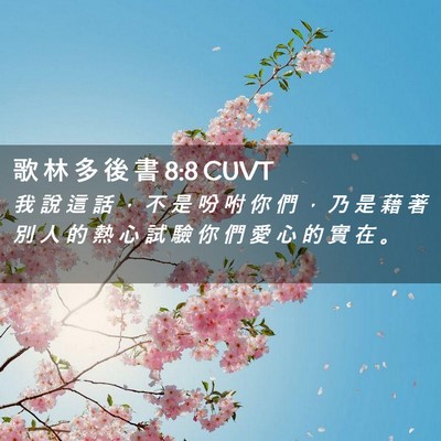 Picture 02 - 歌 林 多 後 書 8:8 CUVT - 我 說 這 話 ， 不 是 吩 咐 你 們 ， - Bible Verse Picture