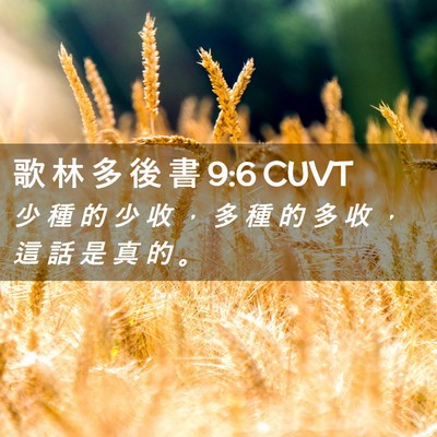 Picture 02 - 歌 林 多 後 書 9:6 CUVT - 少 種 的 少 收 ， 多 種 的 多 收 ， - Bible Verse Picture