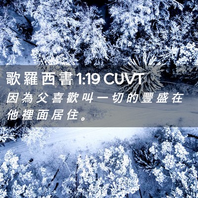 Picture 02 - 歌 羅 西 書 1:19 CUVT - 因 為 父 喜 歡 叫 一 切 的 豐 盛 在 - Bible Verse Picture