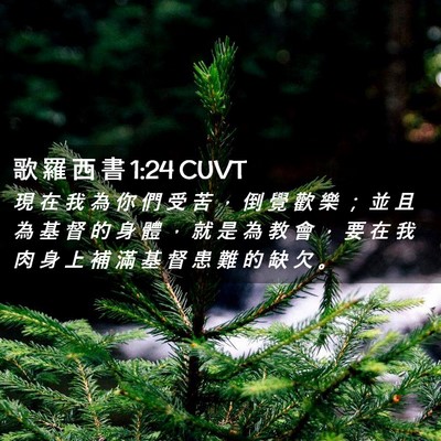Picture 02 - 歌 羅 西 書 1:24 CUVT - 現 在 我 為 你 們 受 苦 ， 倒 覺 歡 - Bible Verse Picture