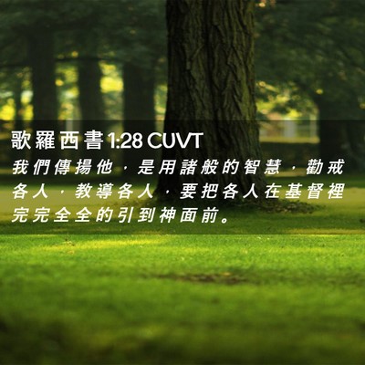 Picture 02 - 歌 羅 西 書 1:28 CUVT - 我 們 傳 揚 他 ， 是 用 諸 般 的 智 - Bible Verse Picture