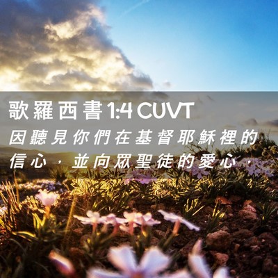 Picture 02 - 歌 羅 西 書 1:4 CUVT - 因 聽 見 你 們 在 基 督 耶 穌 裡 的 - Bible Verse Picture