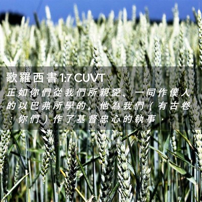 Picture 02 - 歌 羅 西 書 1:7 CUVT - 正 如 你 們 從 我 們 所 親 愛 、 一 - Bible Verse Picture