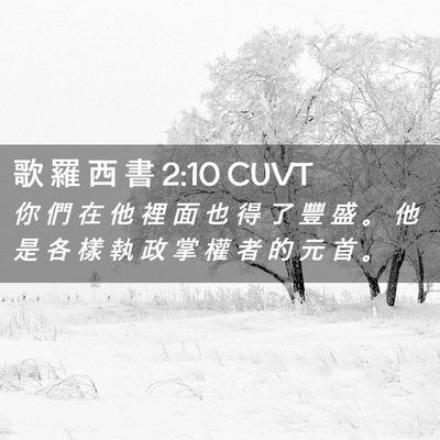 Picture 02 - 歌 羅 西 書 2:10 CUVT - 你 們 在 他 裡 面 也 得 了 豐 盛 。 - Bible Verse Picture