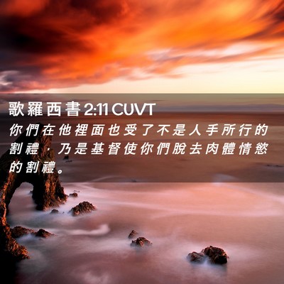 Picture 02 - 歌 羅 西 書 2:11 CUVT - 你 們 在 他 裡 面 也 受 了 不 是 人 - Bible Verse Picture