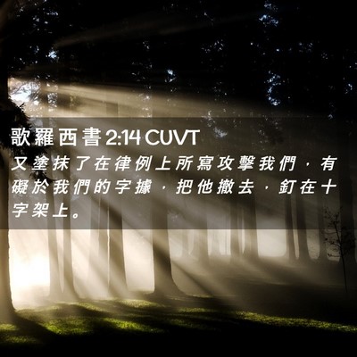 Picture 02 - 歌 羅 西 書 2:14 CUVT - 又 塗 抹 了 在 律 例 上 所 寫 攻 擊 - Bible Verse Picture