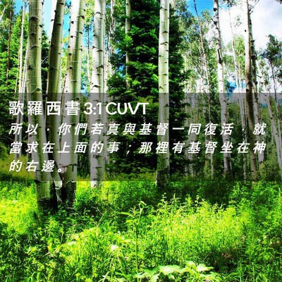 Picture 02 - 歌 羅 西 書 3:1 CUVT - 所 以 ， 你 們 若 真 與 基 督 一 同 - Bible Verse Picture